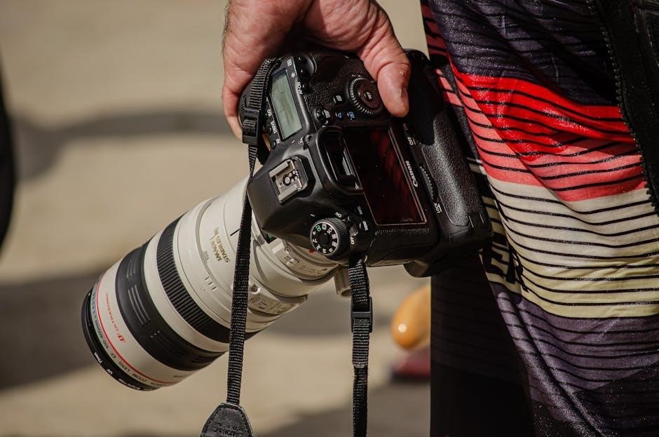 stretch out strap manual pdf